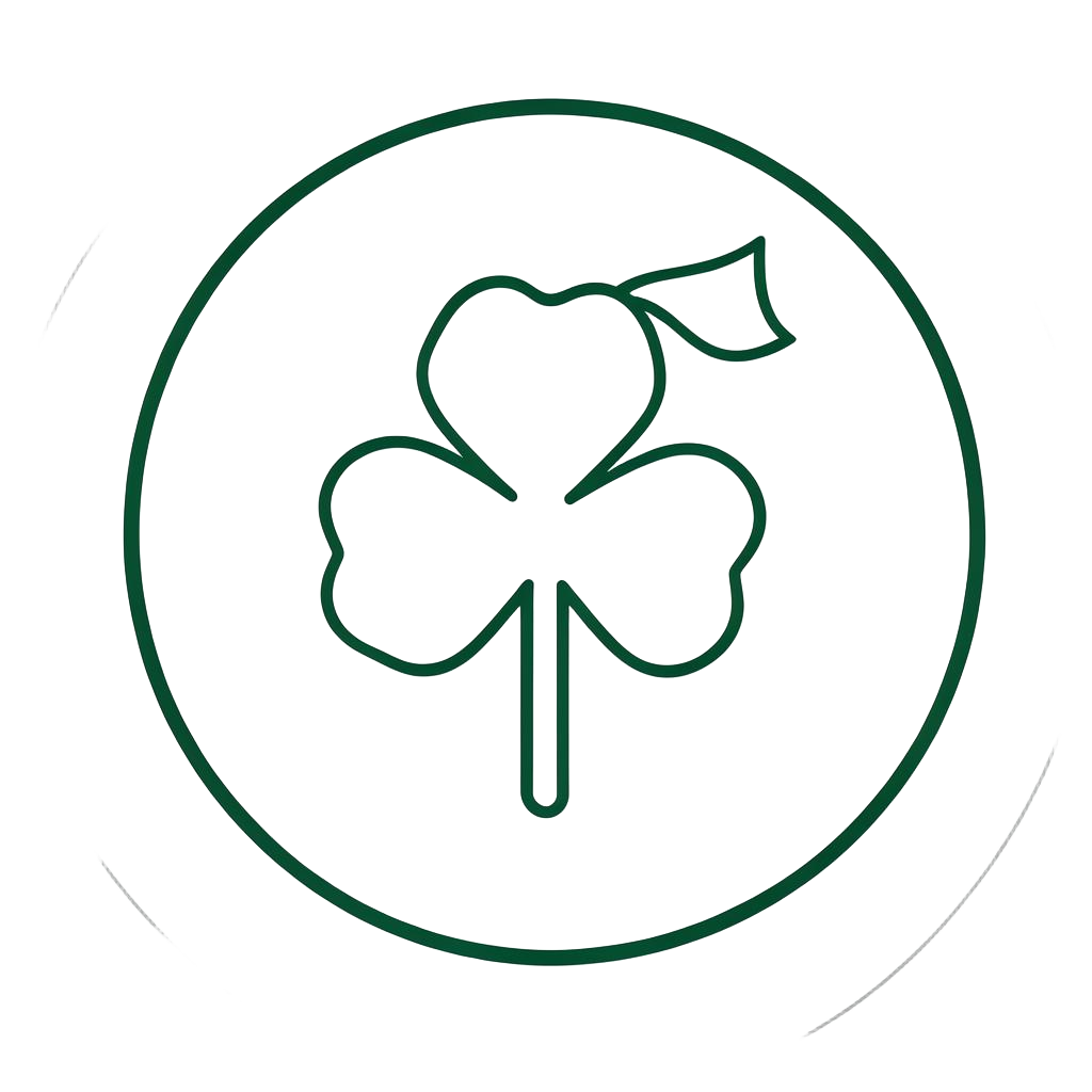 Northern Ireland Top 5 badge emblem