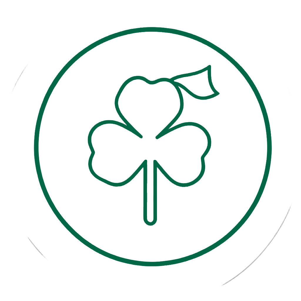 Ireland Top 5 badge emblem