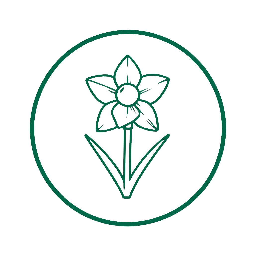 Wales Top 5 badge emblem